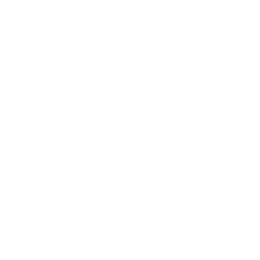 Airport Transfers