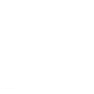 Customizable Options