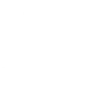 Commitment to Safety