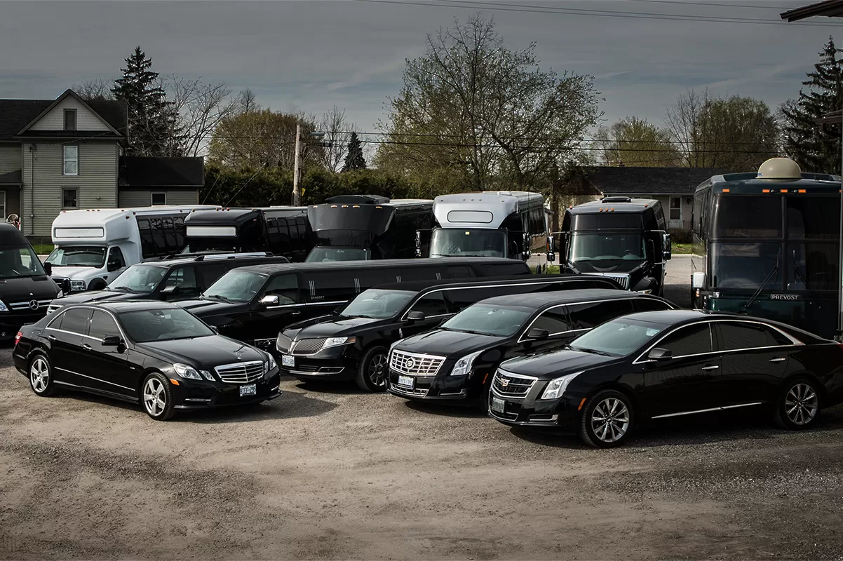 Elegant Luxury Limo 06